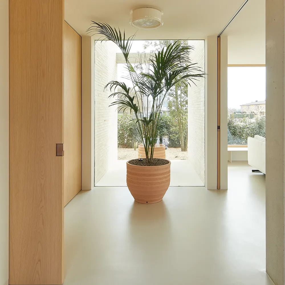 Floors finished in microcement